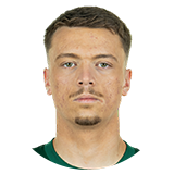 17 - Pejcinovic