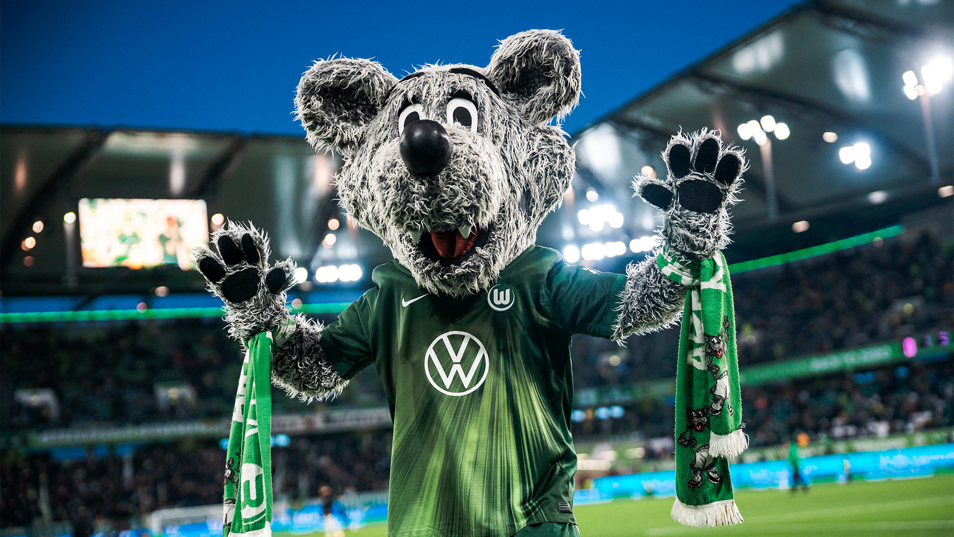 VfL-Wolfsburg-Maskottchen Wölfi hält zwei Schals in den Händen und steht im Stadion.