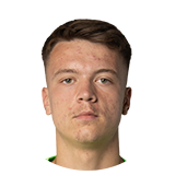 17 - Pejcinovic