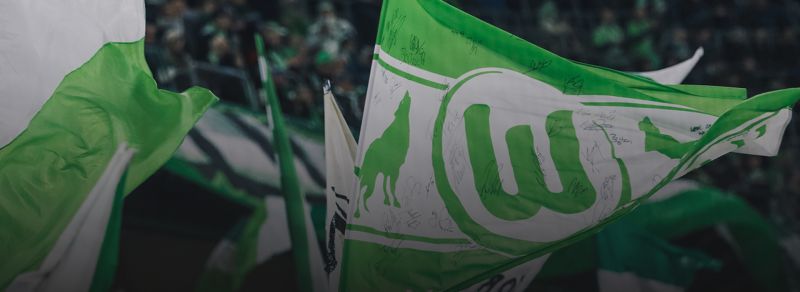 Fans schwenken grün-weiße Fahnen im Stadion.